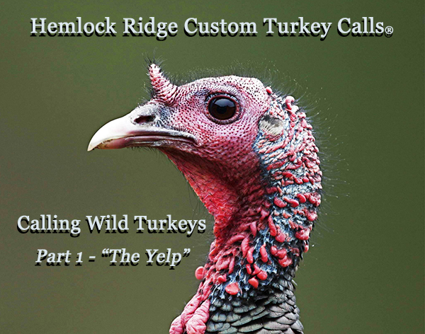 HRCC-Calling Wild Turkeys- Part1